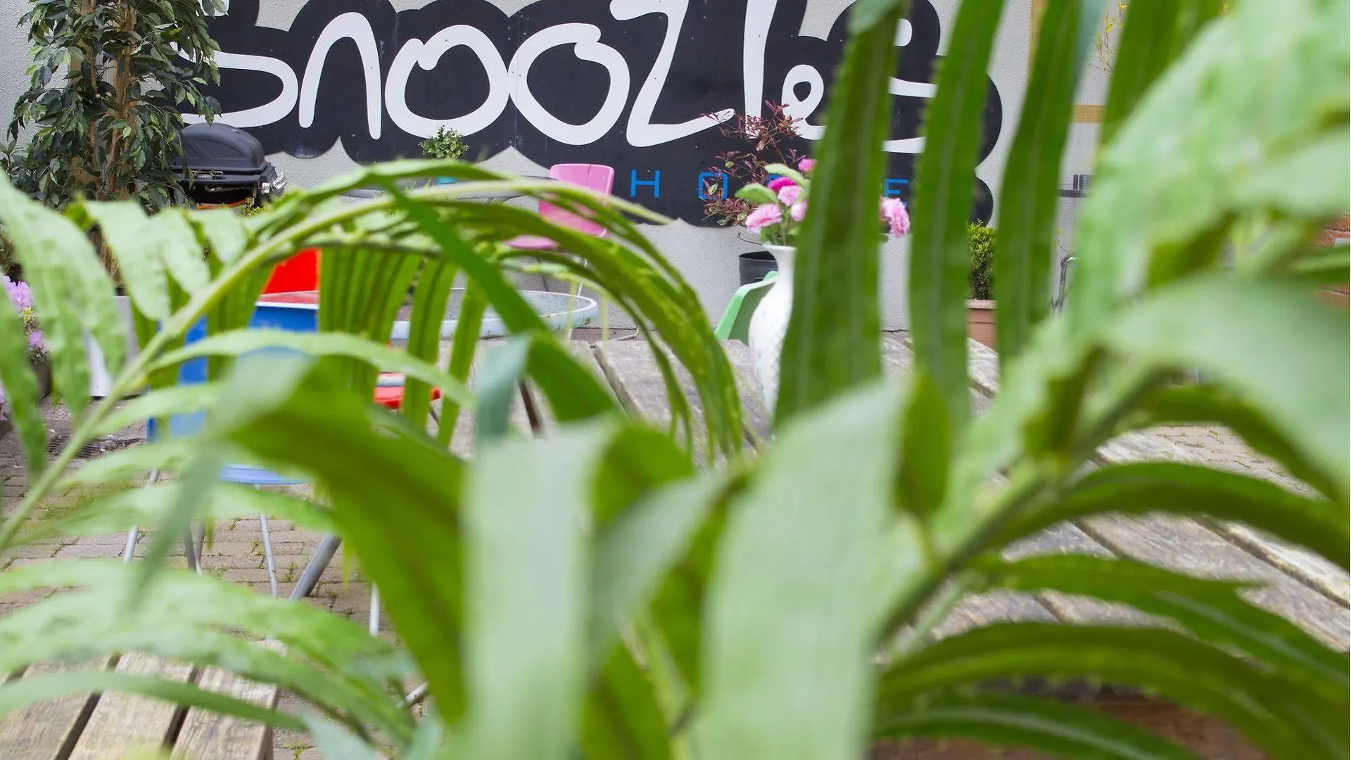 Snoozles Galway City Centre Hostel